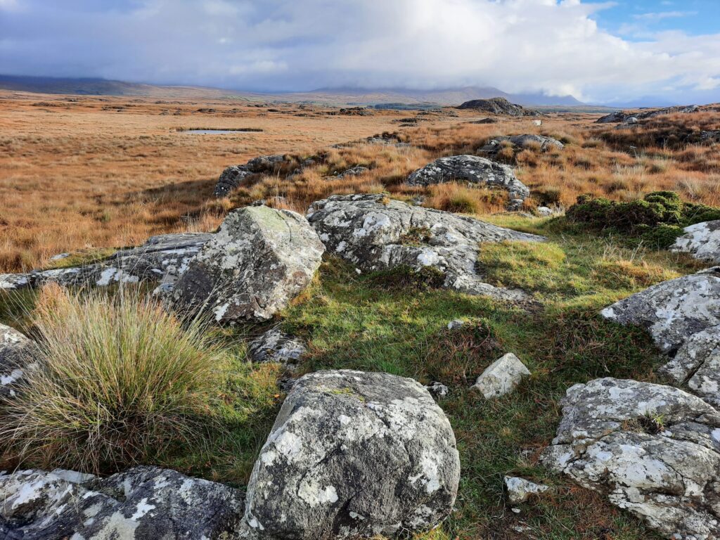 Autors: Foto: Gatis Bogdanovs