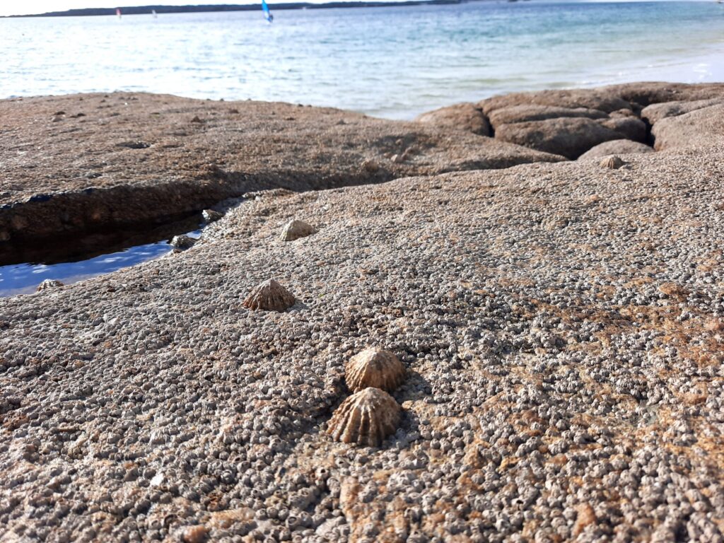 Autors: Foto: Gatis Bogdanovs