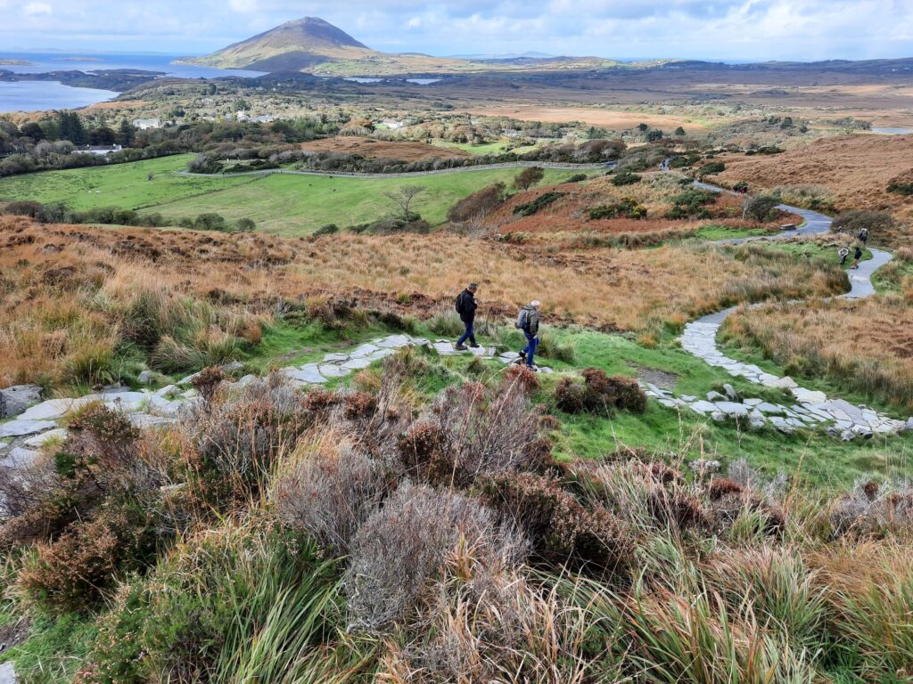 Autors: Foto: Gatis Bogdanovs