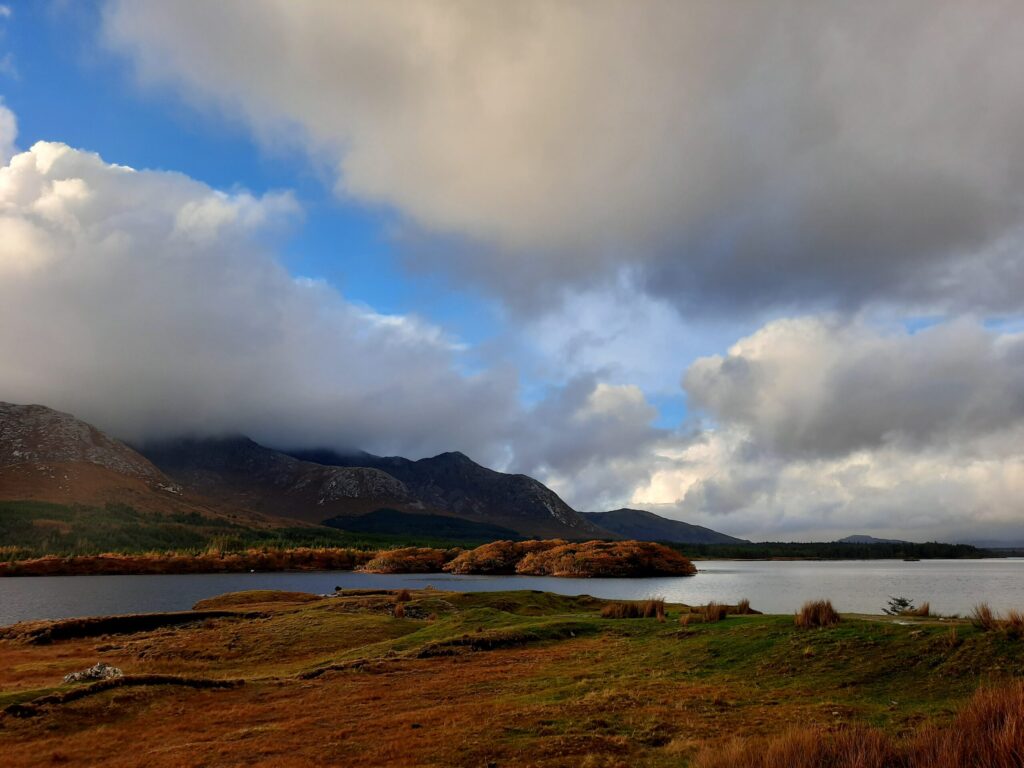 Autors: Foto: Gatis Bogdanovs