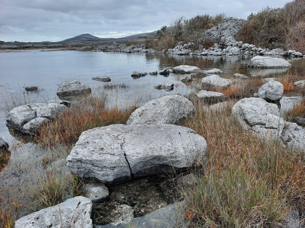 Autors: Foto: Gatis Bogdanovs