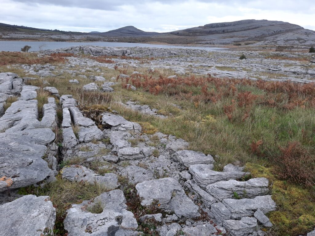 Autors: Foto: Gatis Bogdanovs