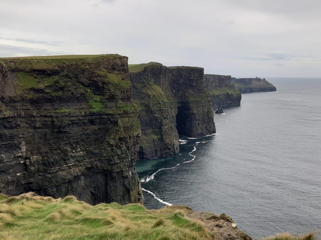 Autors: Foto: Gatis Bogdanovs