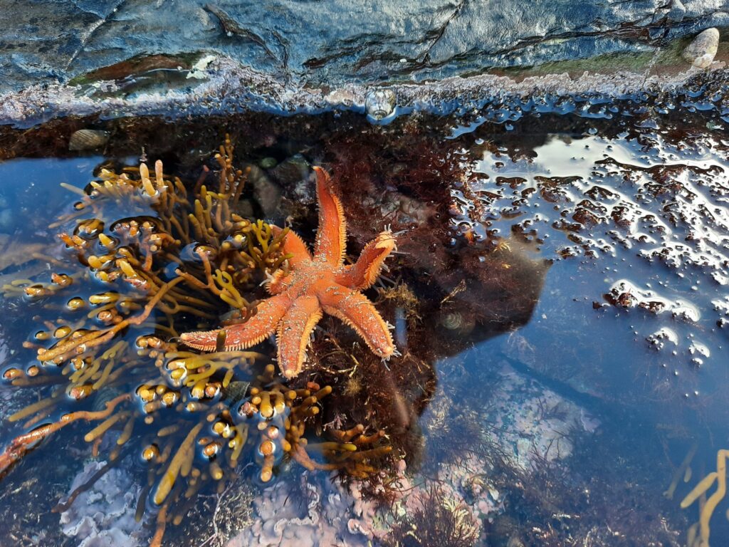 Autors: Foto: Gatis Bogdanovs