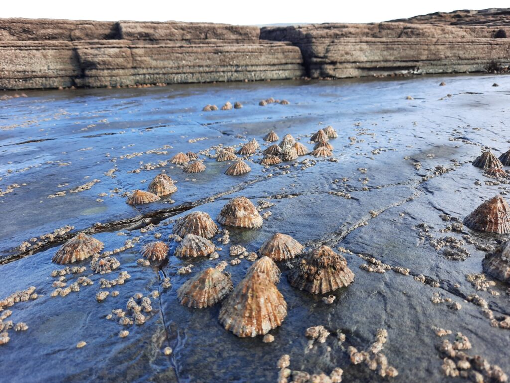 Autors: Foto: Gatis Bogdanovs