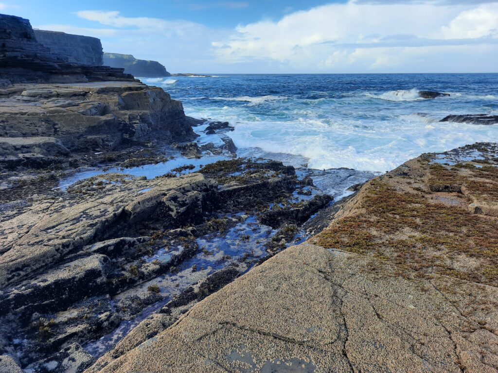 Autors: Foto: Gatis Bogdanovs