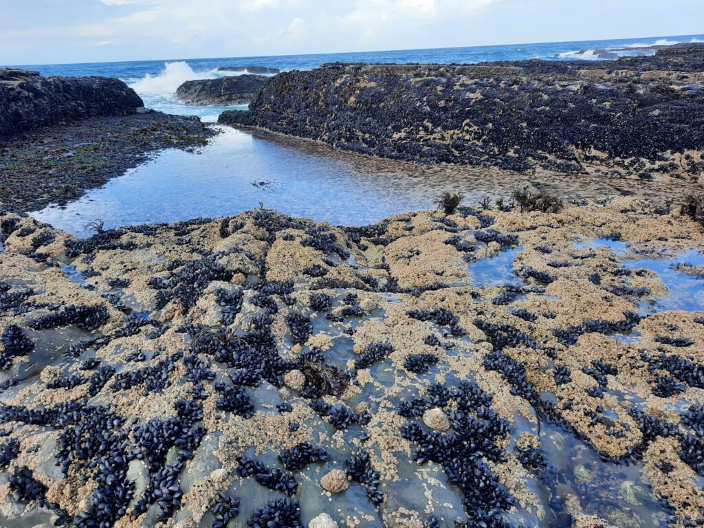 Autors: Foto: Gatis Bogdanovs