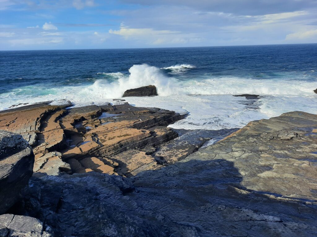 Autors: Foto: Gatis Bogdanovs