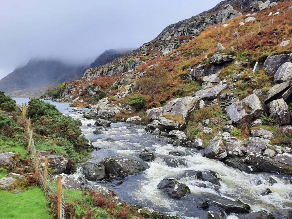 Autors: Foto: Gatis Bogdanovs