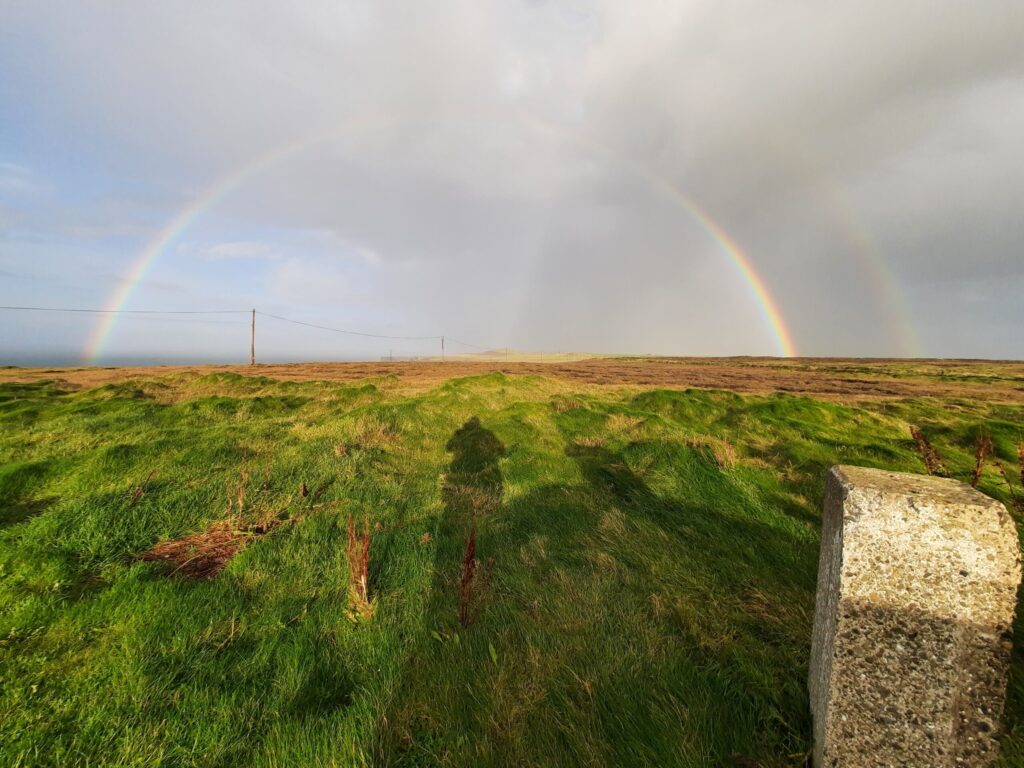 Autors: Foto: Gatis Bogdanovs