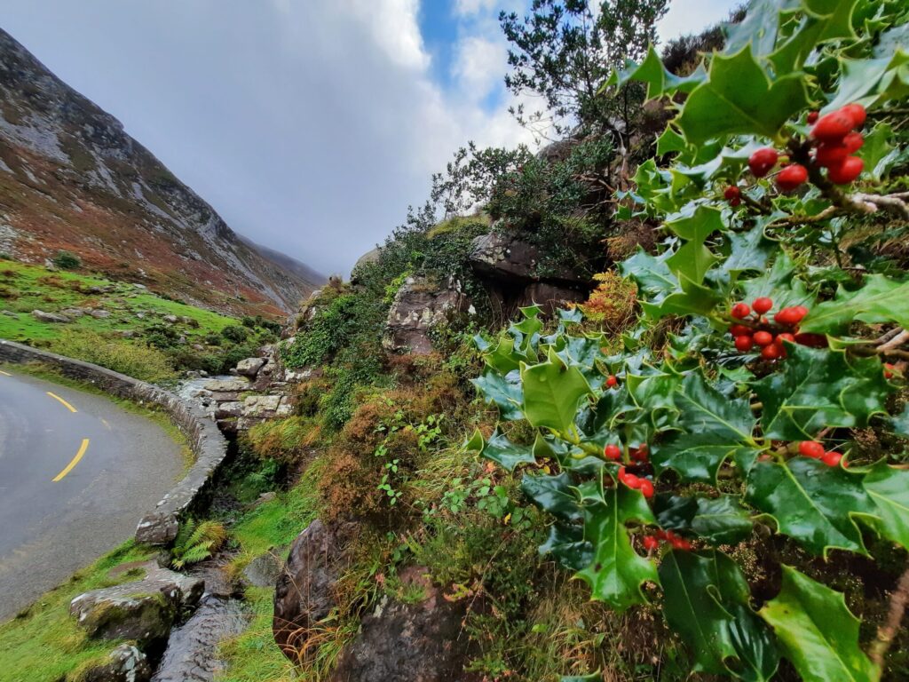 Autors: Foto: Gatis Bogdanovs