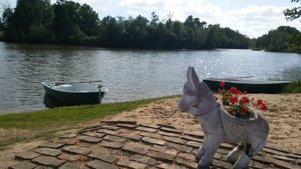 Autors: Foto: Pārsla Konrāde