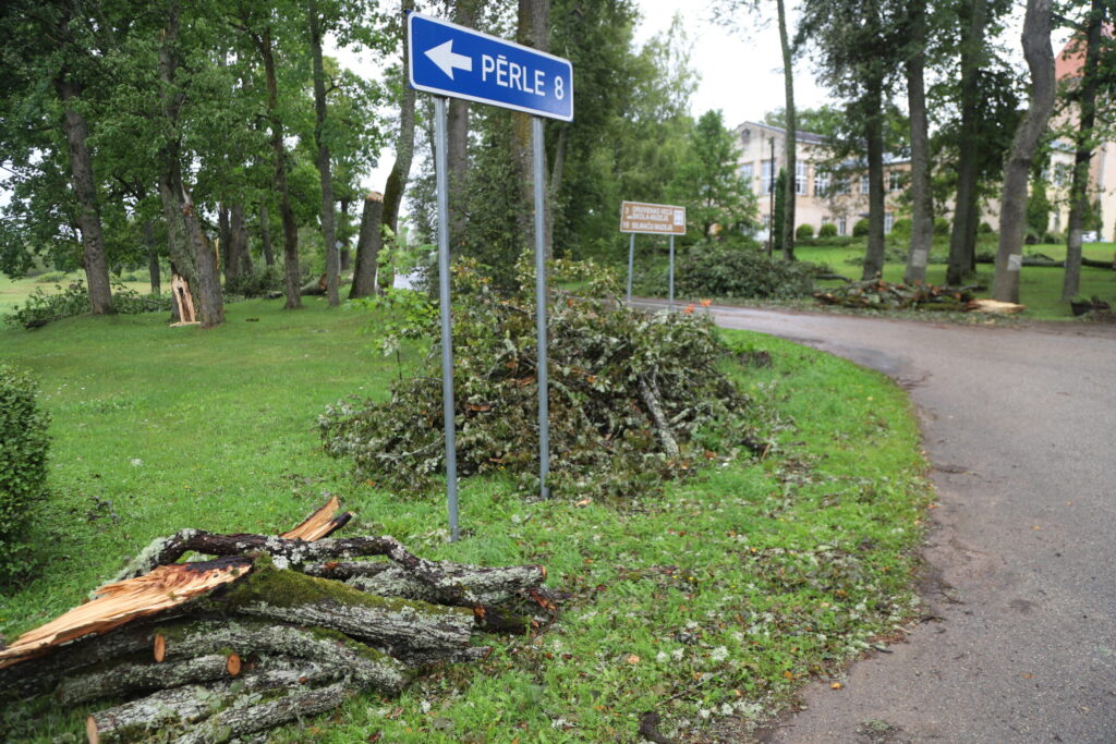 Druviena.
Autors: Foto: Gatis Bogdanovs