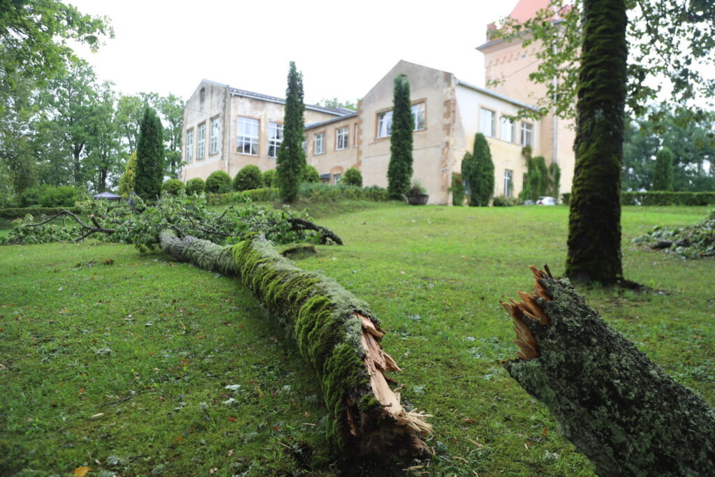 Druviena.
Autors: Foto: Gatis Bogdanovs