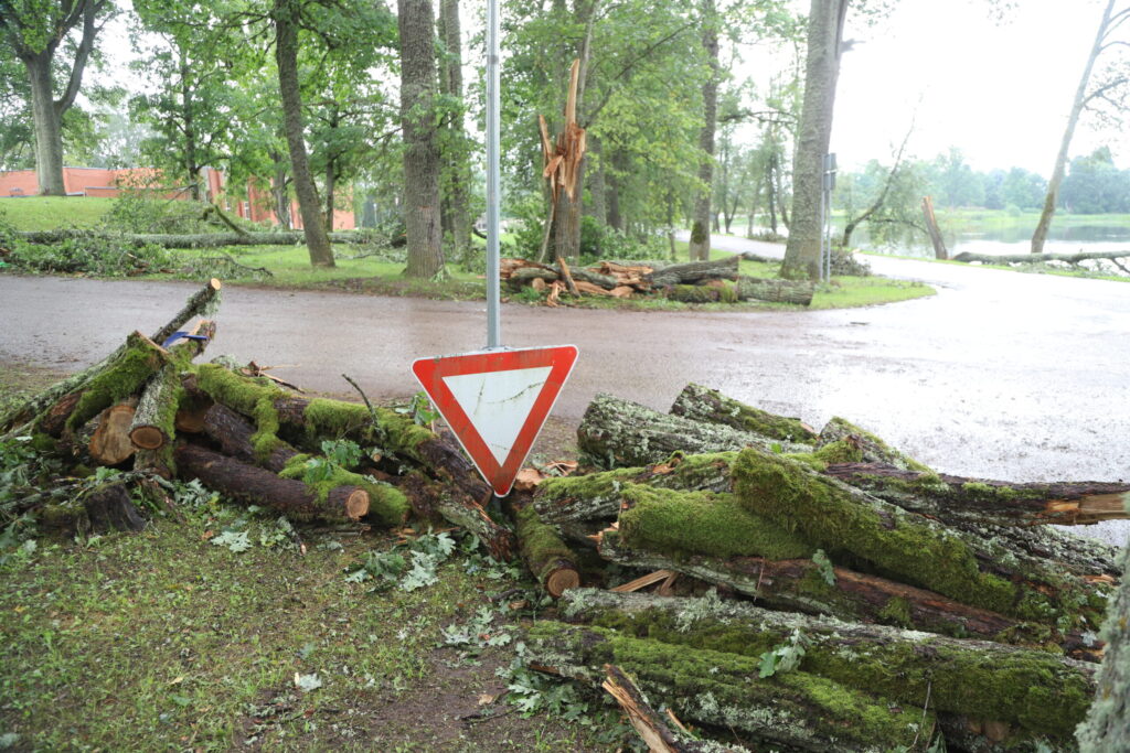 Druviena.
Autors: Foto: Gatis Bogdanovs