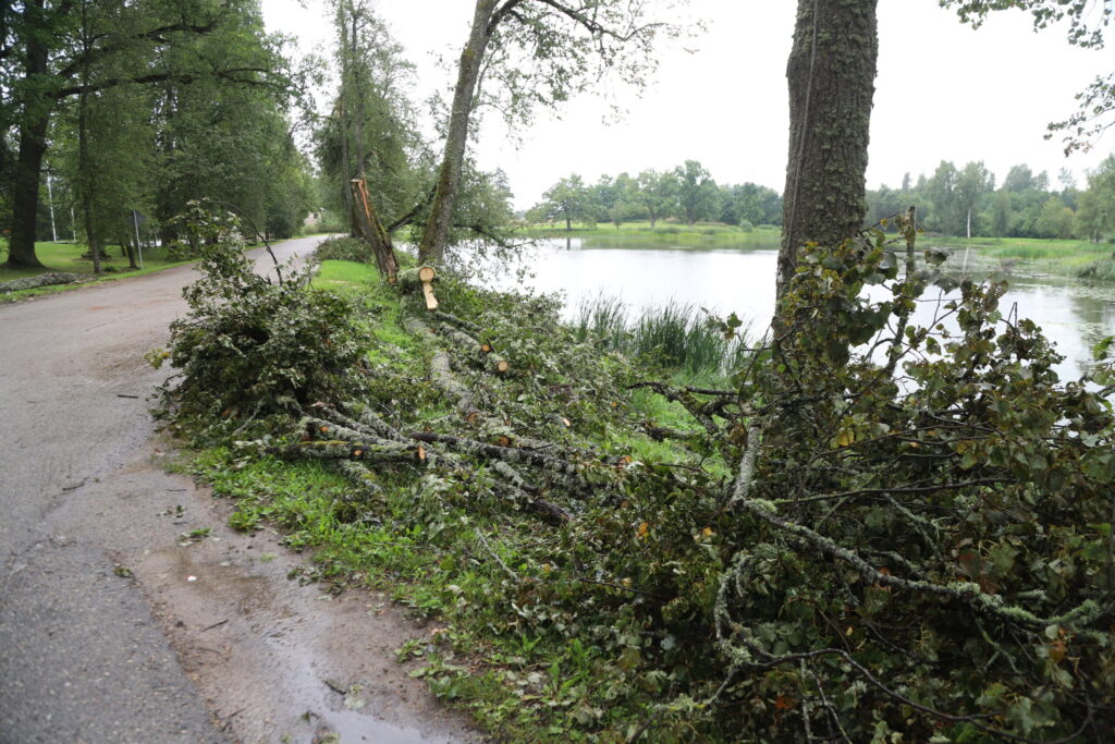 Druviena.
Autors: Foto: Gatis Bogdanovs