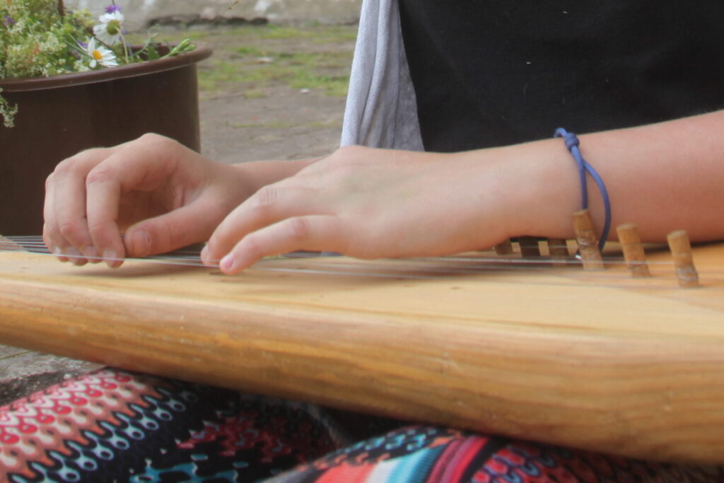 Aluksniesiem.lv raksta attēla aizvietotājs