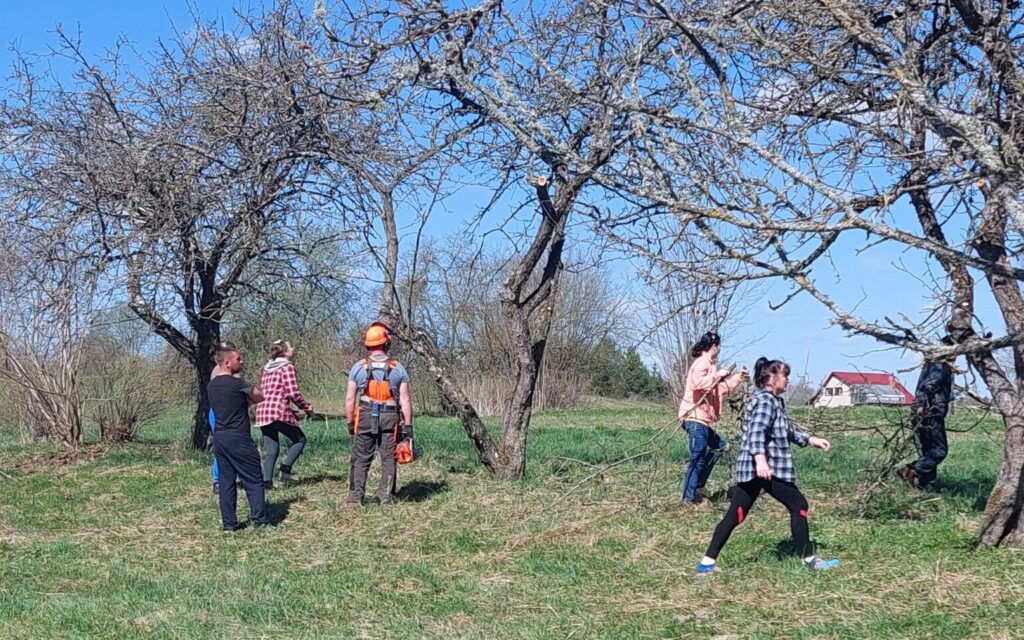 Aluksniesiem.lv raksta attēla aizvietotājs