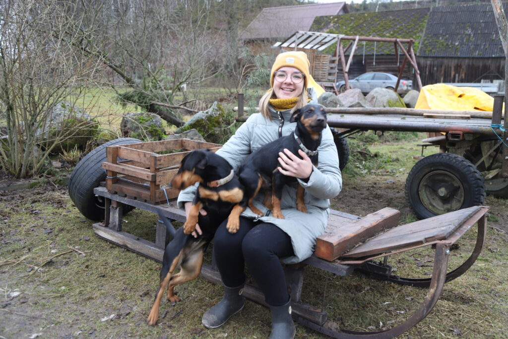 RŪTA KOPĀ AR SAVIEM UZTICAMAJIEM SUŅIEM – vācu medību terjeru Kevinu un Latvijas dzinējsuņu meiteni Hēru. Rūta strādā Valsts meža dienestā Gulbenē un brīvajā laikā ne tikai dodas līdzi dzīvesbiedram medībās, bet arī dejo Beļavas vidējās paaudzes deju kolektīvā “Ega” un darbojas Beļavas pagasta amatierteātrī “Spiets”.
Autors: Foto: Gatis Bogdanovs