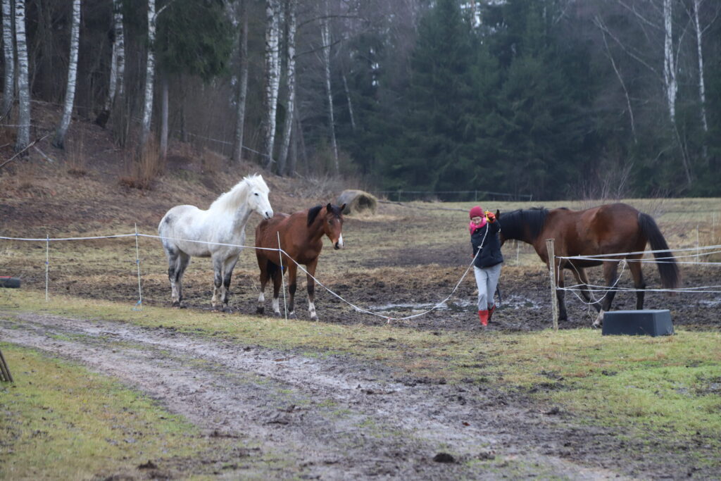 Autors: Foto: Gatis Bogdanovs