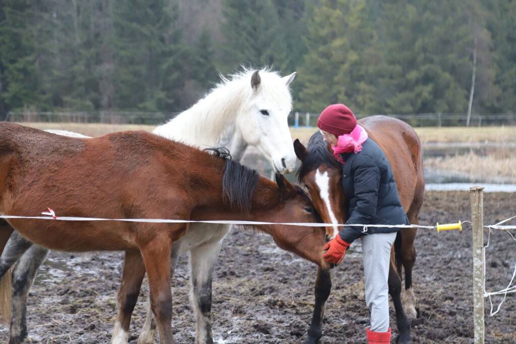 KADIĶIS, LADO UN KODIJS.
Autors: Foto: Gatis Bogdanovs