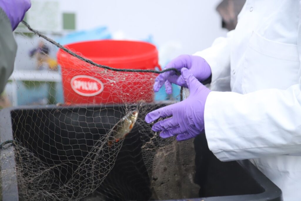 Autors: Foto: Gatis Bogdanovs