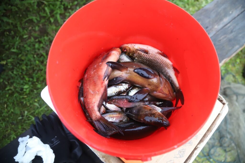 Autors: Foto: Gatis Bogdanovs