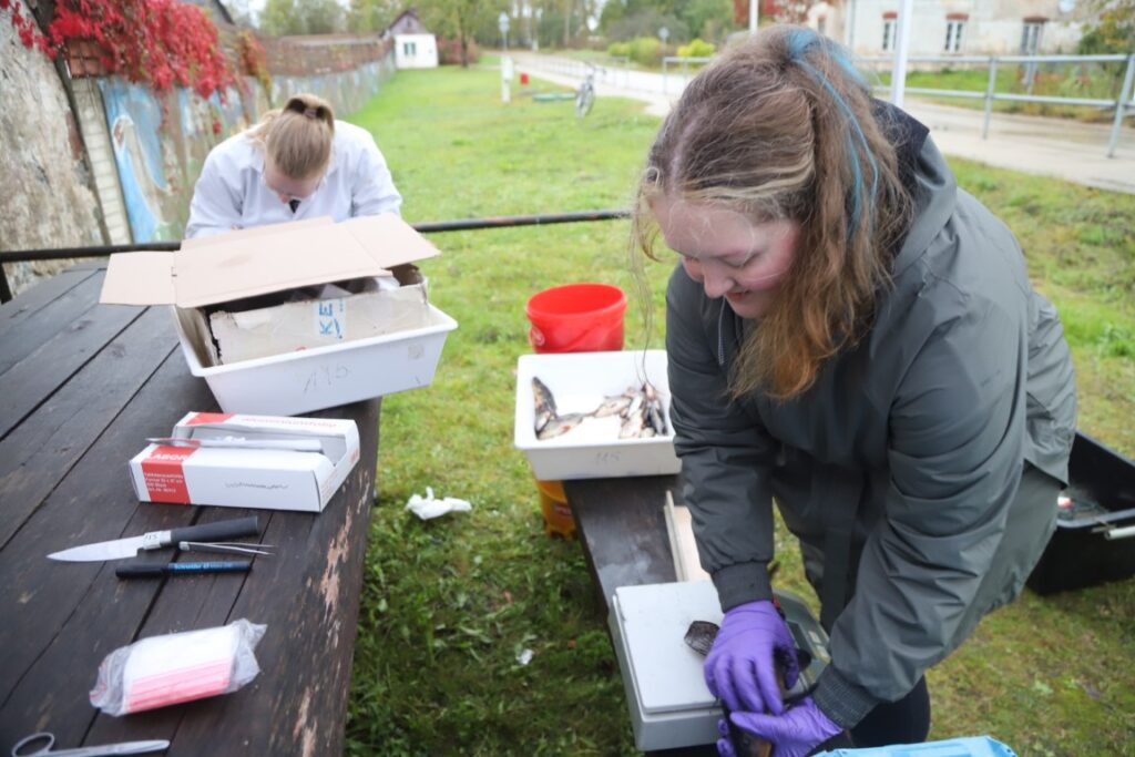 Autors: Foto: Gatis Bogdanovs