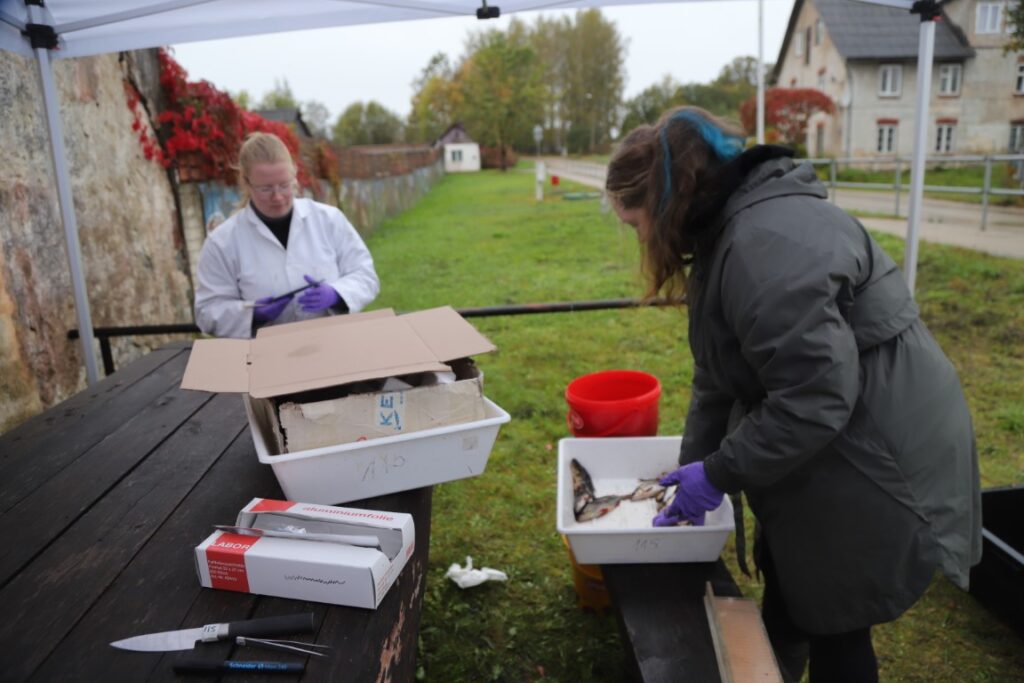 Autors: Foto: Gatis Bogdanovs