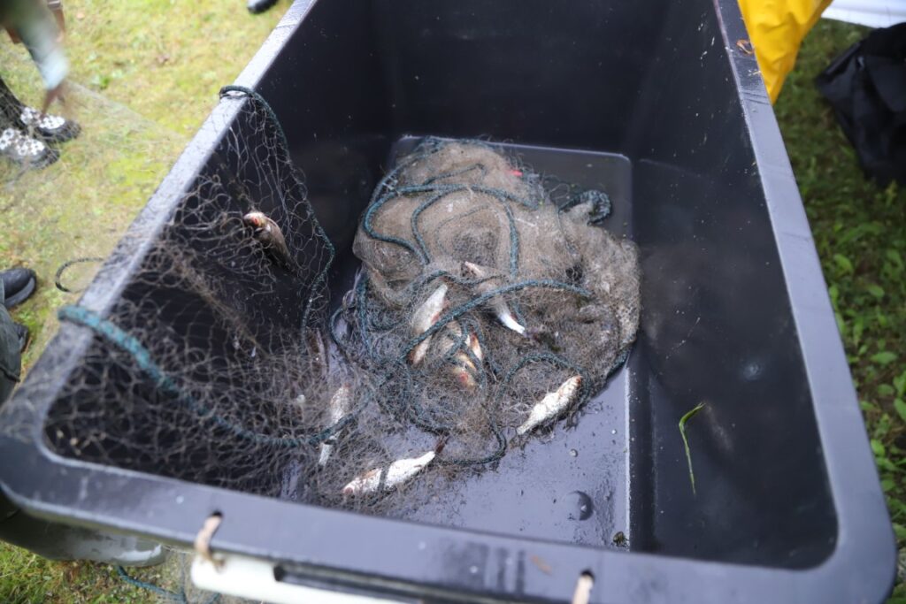 Autors: Foto: Gatis Bogdanovs