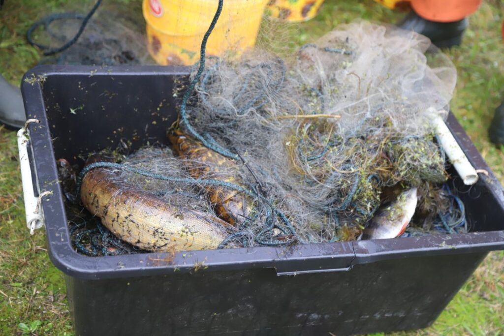 Autors: Foto: Gatis Bogdanovs