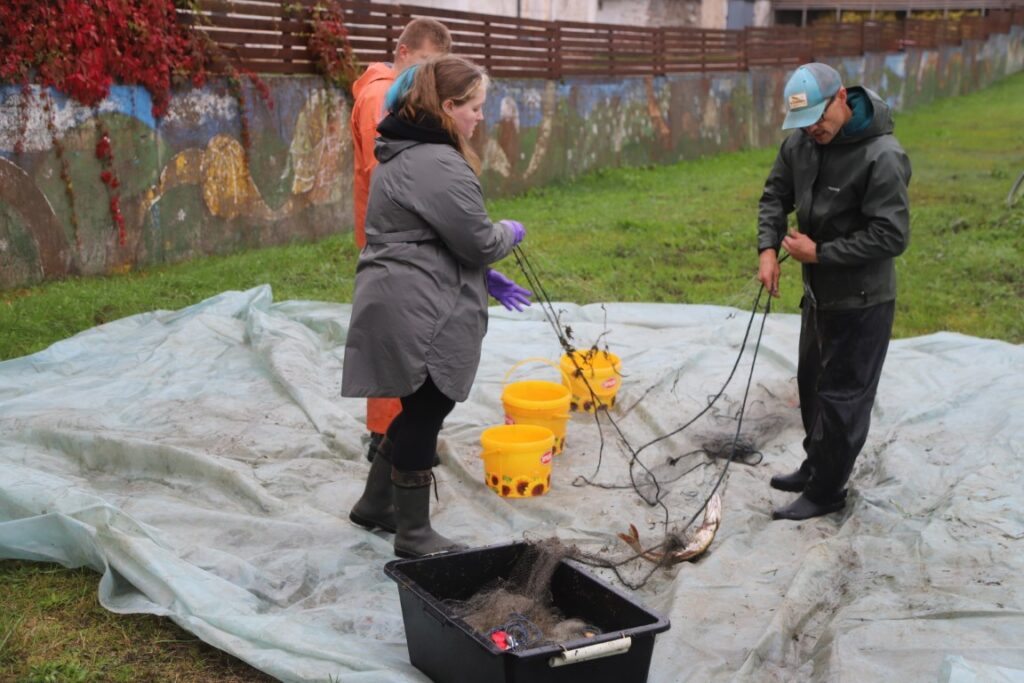 Autors: Foto: Gatis Bogdanovs