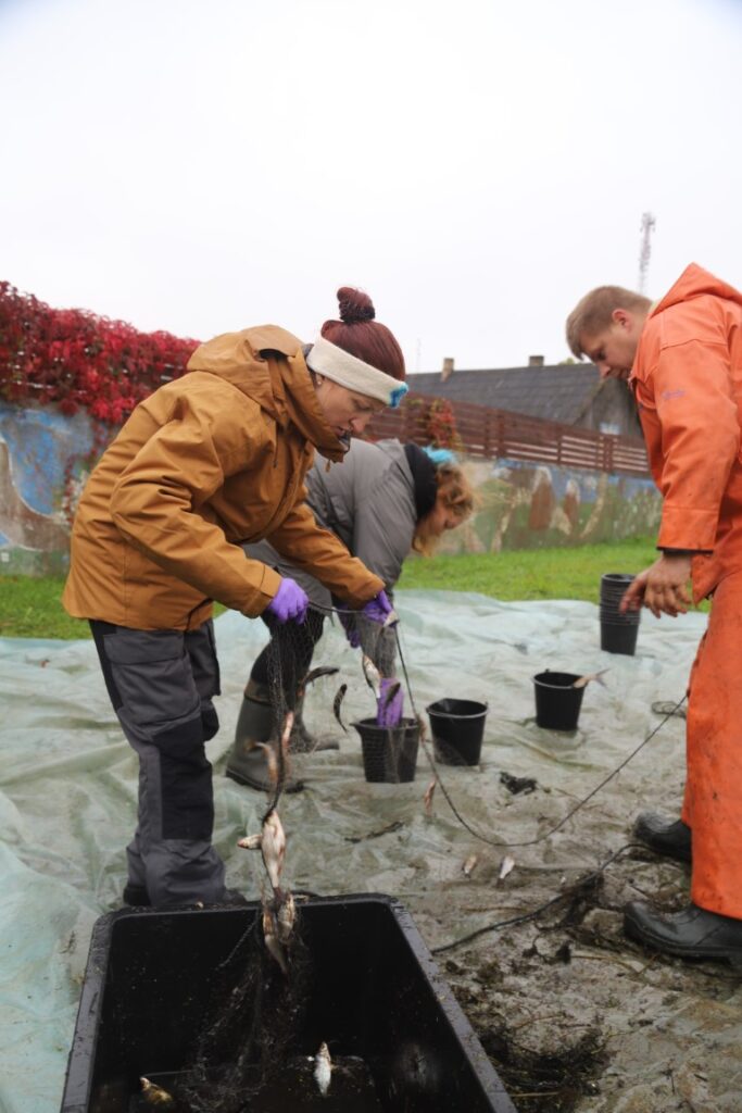 Autors: Foto: Gatis Bogdanovs