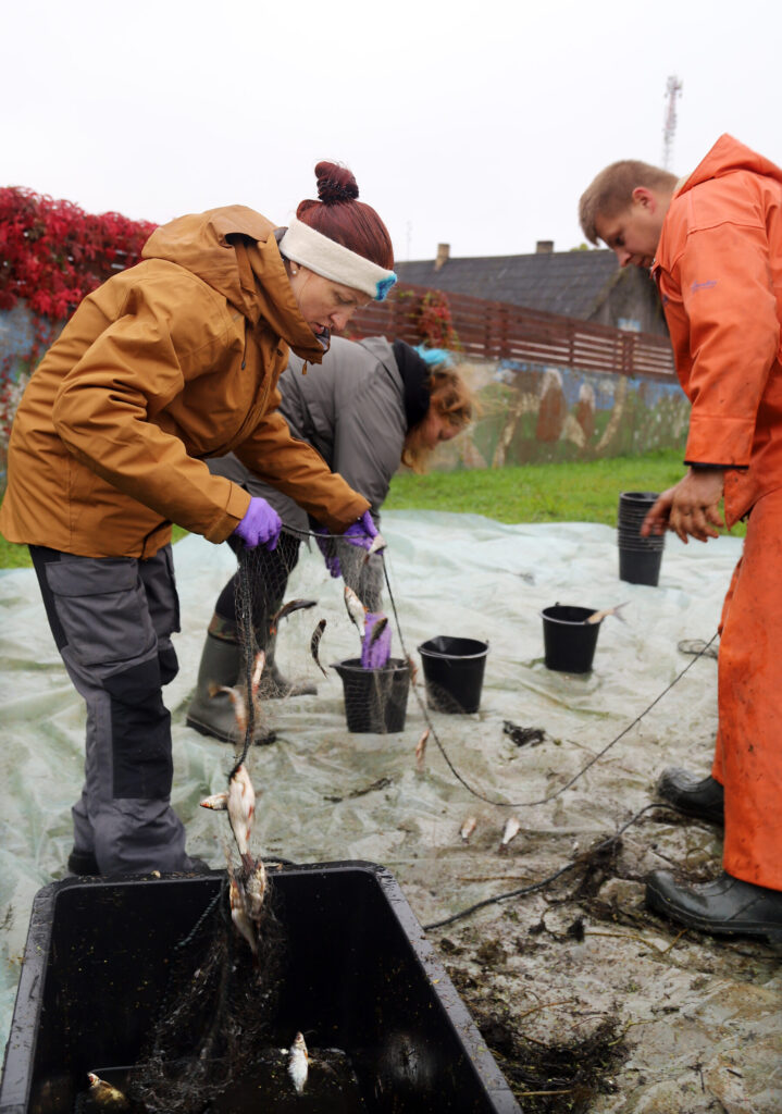 LAI TURPMĀK varētu veikt peldošo salu monitoringu, Latvijas Hidroekoloģijas institūta vadošā pētniece Inta Dimante-Deimantoviča (no kreisās) nāk talkā arī tiem, kas cenšas zvejas tīklus atbrīvot no zivīm.
Autors: Foto: Gatis Bogdanovs