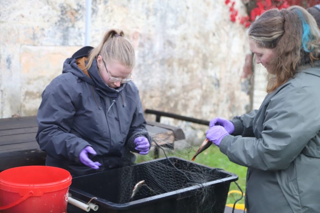 Autors: Foto: Gatis Bogdanovs