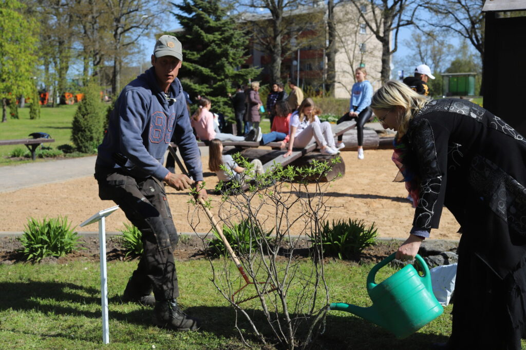 Aluksniesiem.lv raksta attēla aizvietotājs