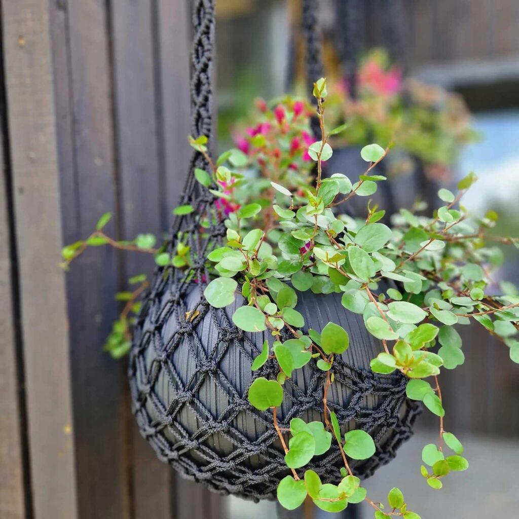 Radošs risinājums – mezglots puķu poda turētājs. 
Autors: Foto: no personiskā arhīva