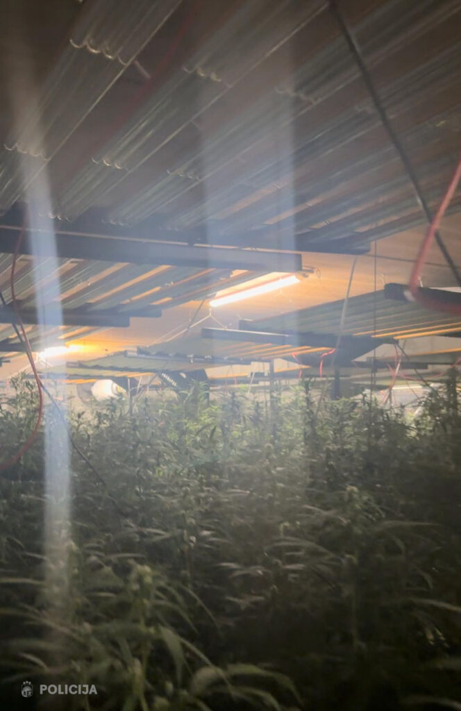 Autors: Foto: Valsts policija