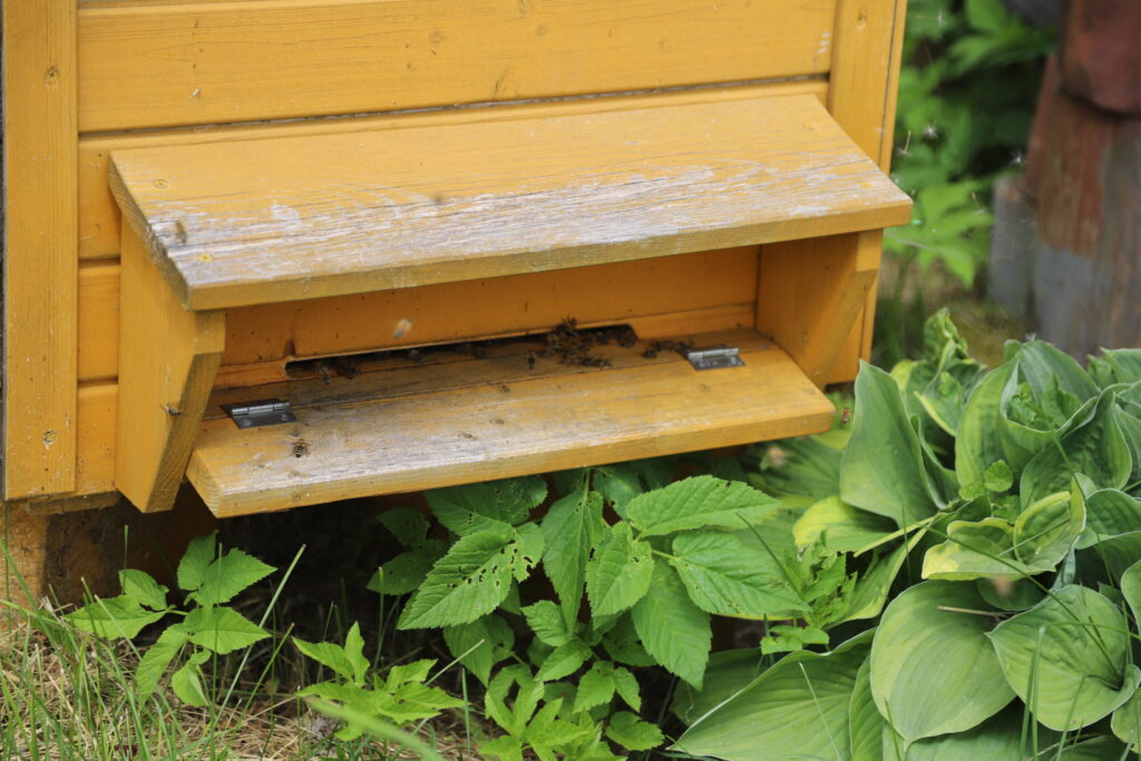 Autors: Foto: Gatis Bogdanovs