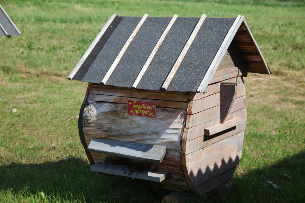 Aluksniesiem.lv raksta attēla aizvietotājs