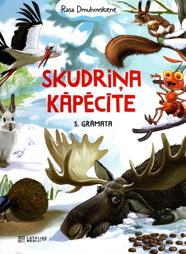 Aluksniesiem.lv raksta attēla aizvietotājs