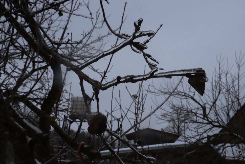 Autors: Foto: Gatis Bogdanovs