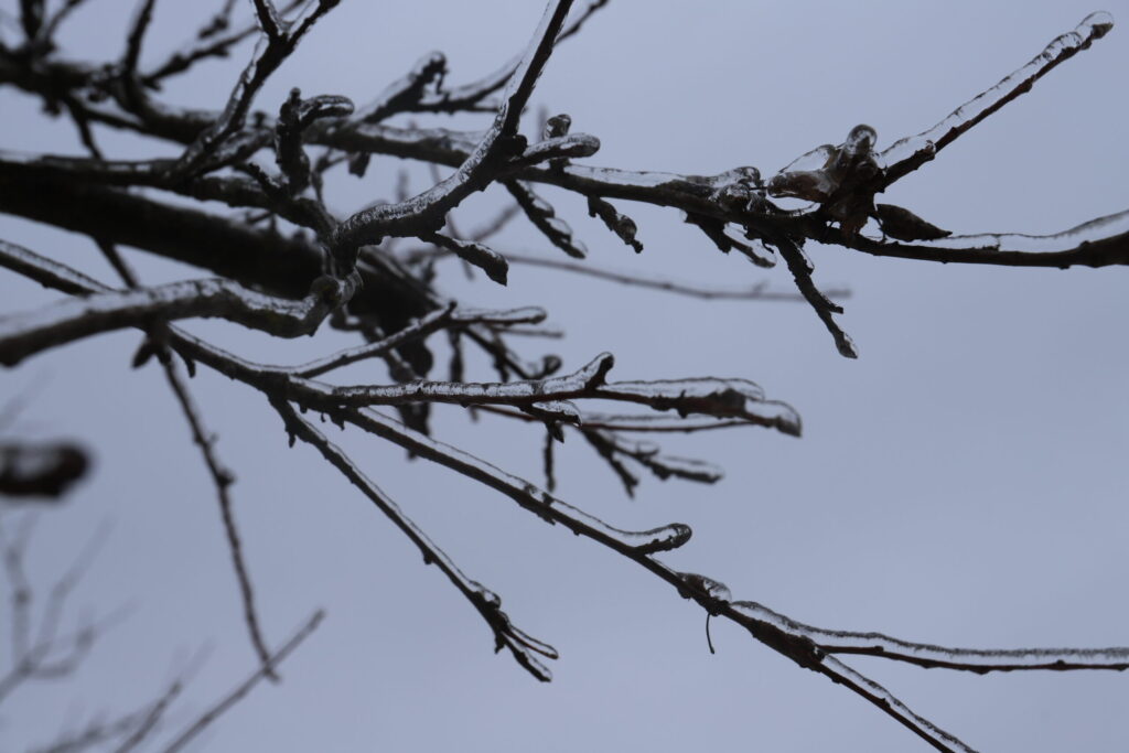 Autors: Foto: Gatis Bogdanovs