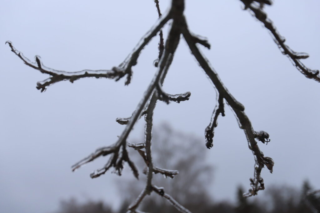 Autors: Foto: Gatis Bogdanovs