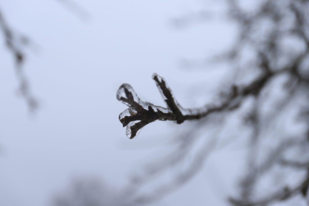 Autors: Foto: Gatis Bogdanovs