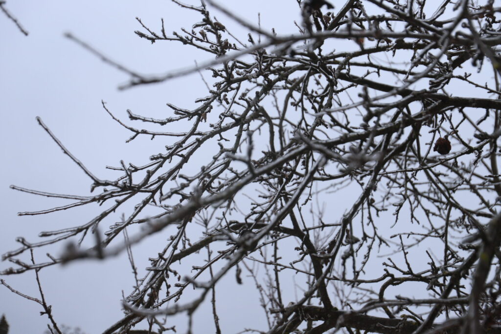 Autors: Foto: Gatis Bogdanovs