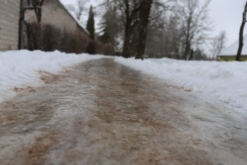 Autors: Foto: Gatis Bogdanovs