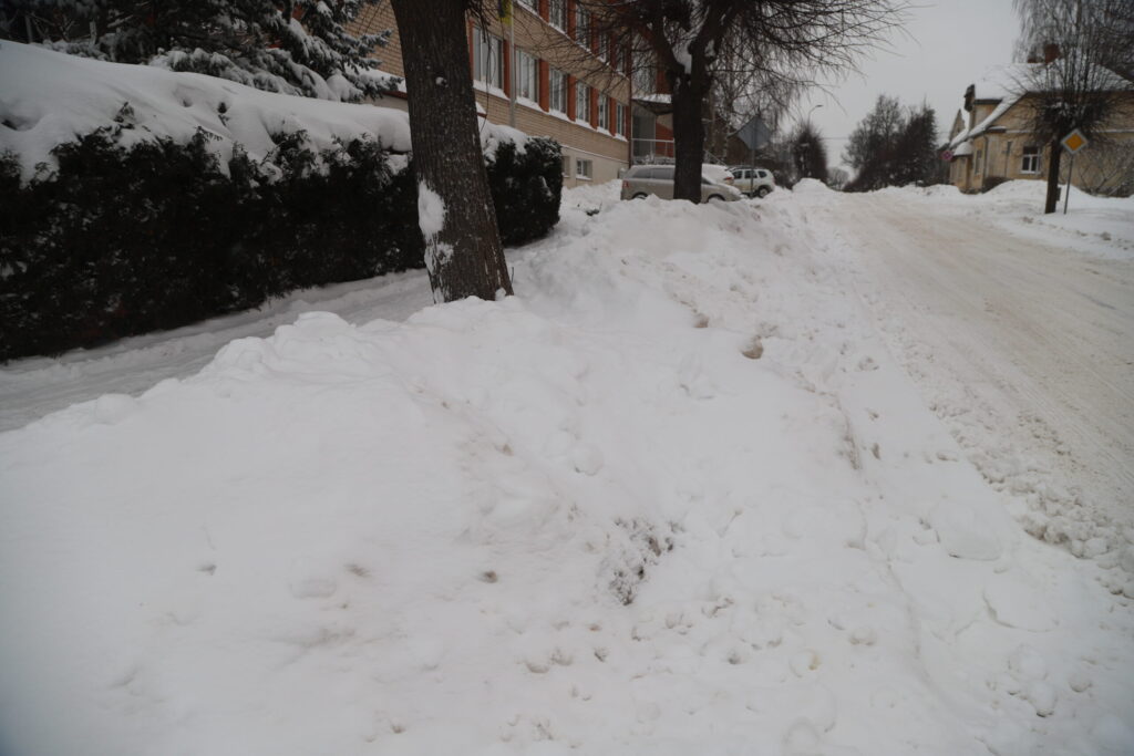 Autors: Foto: Gatis Bogdanovs