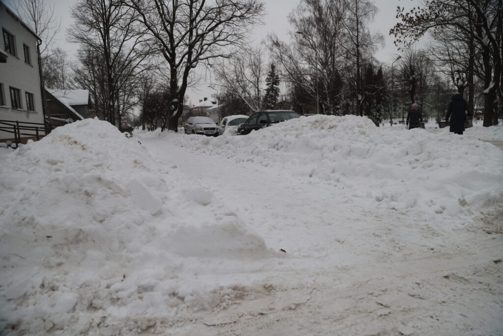 Autors: Foto: Gatis Bogdanovs