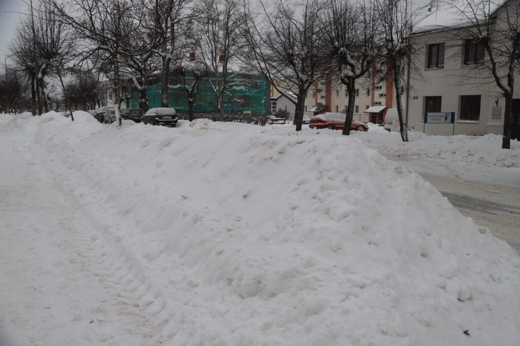 Autors: Foto: Gatis Bogdanovs